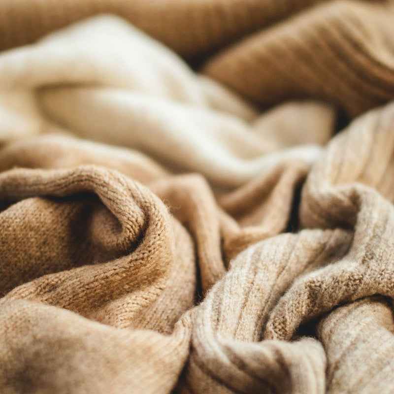 Les fibres textiles : la laine